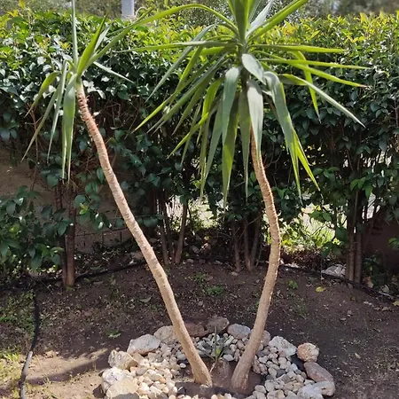 Elina House Holiday home